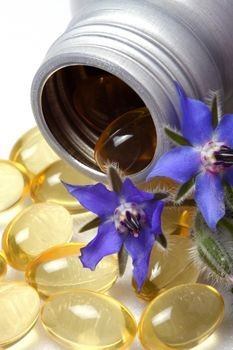 Маслото от  пореч (Borago officinalis) е хранително масло, богати на полиненаситени мастни киселини на топ цена