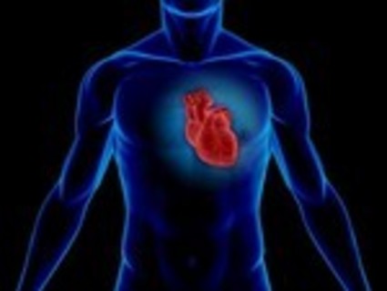 Таурин (Taurine) капсули на страхотна цена подпомага сърдечно съдовата система.