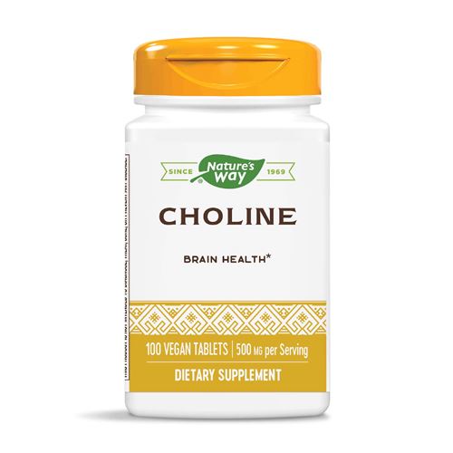 Холин Витамин B4 500 мг 100 веган таблетки | Nature's Way