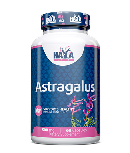 Astragalus 500 мг 60 капсули | Haya Labs