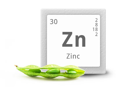 Zinc Balance от Jarrow Formulas прeпятства образуването на свободни радикали, разрушаващи клетъчните обвивки. 