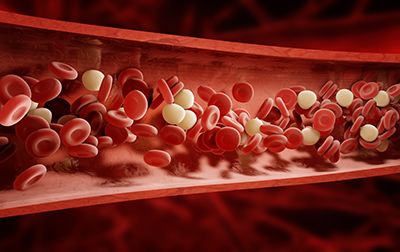 Arginine Alpha Ketoglutarate Instantized на невероятна цена подобрява притока на кръв към мускулите и помага при чернодробни проблеми