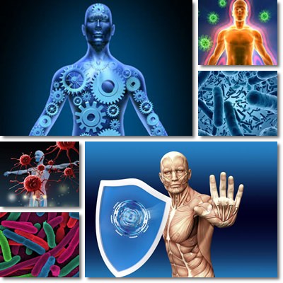 Essential Zinc от Myvitamins подобрява произвеждането на антитела в тялото и повишава имунитета