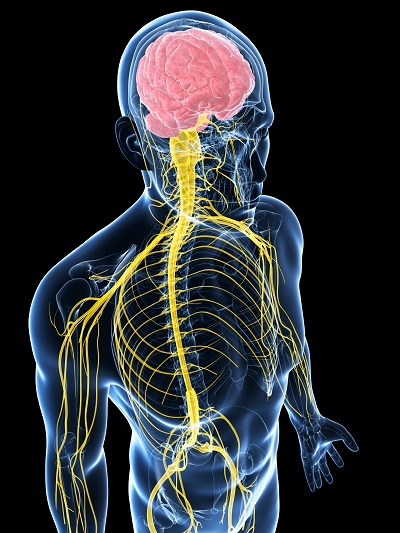 Минерален комплекс с B12 от Together Health поддържа функциите на нервната система и укрепва имунитета.