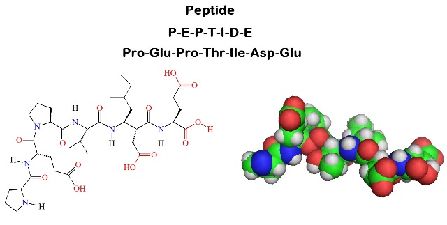 Chelohart Heart Peptide (Челохарт Пептид) е уникална хранителна добавка, подпомагаща сърдечна недостатъчност при пациенти с коронарна болест. 