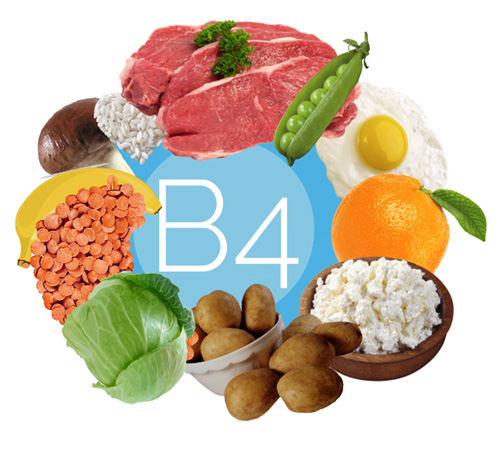 Choline and Inositol 500 mg 100 capsules от Nature`s Way на отлична цена помага при безсъние