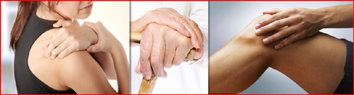 Joint Optimizer 555 мг 60 капсули от Natural Factors на топ цена има аналгетично действие