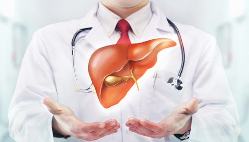 Силифос Фитозоми 160 мг на капсули на чудесна цена има силен антиоксидантен ефект