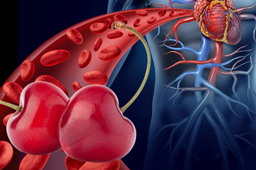 Череша Супер Концентрат 500 мг от Natural Factors на уникална цена облекчава артритните и мускулни болки