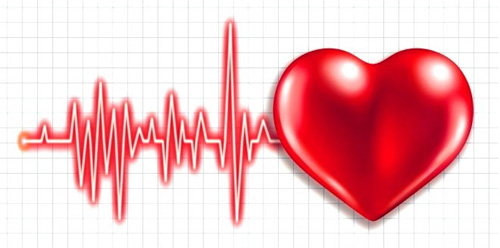 Магнезий 500 мг 60 таблетки от Webber Naturals на уникална цена е най-важният минерал за сърцето