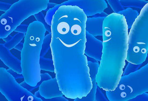 Probiotic IBS Support 7 Billion от Webber Naturals на супер цена съдържаща 4 уникални щама пробиотици, понижаващи риска от размножаване на патогени