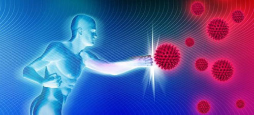 Сироп за кашлица с Ехинацея 150 мл от Natural Factors на изключителна цена не допуска достигането на бактериите до здравите клетки