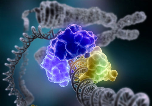 Пробиотик 20 млрд. активни пробиотици с eнзими 30 капсули от Nature`s Way на топ цена подобрява усвояването на ценни хранителни вещества