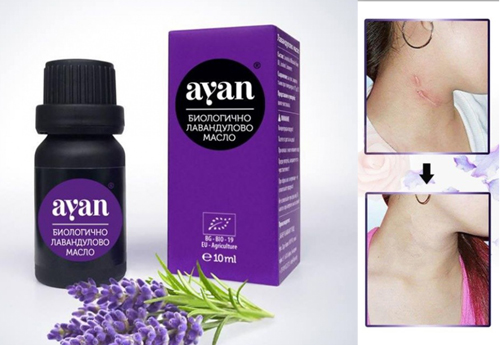 Organic Lavender Oil 10 ml от Ayan на отлична цена подпомага регенерирането на тъканите най-вече в епидермиса