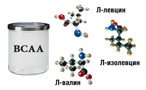 BCAA ENERGY 400 gr от HS Labs на топ цена осигурява основни хранителни вещества за мускулите