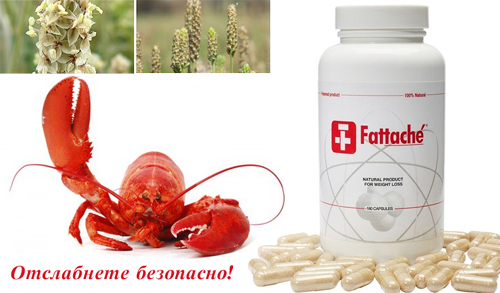 Fattache 180 капсули за отслабване на топ цена може да Ви помогне по естествен и безопасен начин да отслабнете