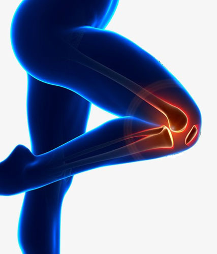 Glucosamine + MSM + Chondroitin 90 tablets на отлична цена от HSLabs увеличава ставната подвижност