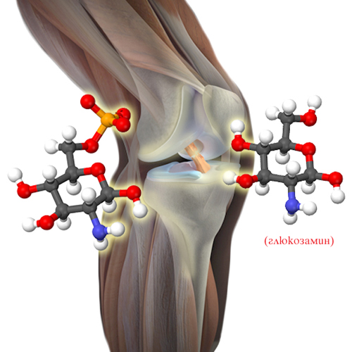 Глюкозамин Сулфат 1000 мг 90 таблетки на топ цена от HSLabs предпазва от дегенерация хрущяла