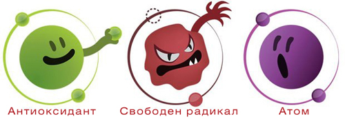 R - Alpha Lipoic Acid 100 mg 90 tablets на изгодна цена от HS Labs има уникални антиоксидантни свойства и се бори със стареенето на организма