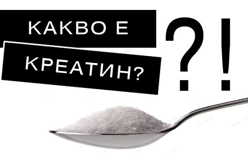 Tri Creatine Malate 300/500 gr на супер цена от HS Labs доставя едно от малкото природни анаболни вещества