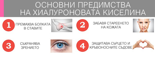 Хиалуронова киселина 300 мг 120 капсули на отлична цена от Sanct Bernhard подобрява здравословното състояние и външния вид