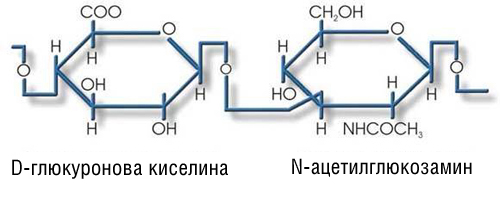 Hyaluronic Acid 300 mg 120 capsules на топ цена от Sanct Bernhard е субстанция, която човешкото тяло самосинтезира за предпазване и поддържане на свои тъкани