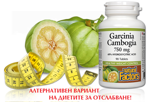 Garcinia cambogia 750 mg 90 tablets на изгодна цена от Natural Factors е алтернатива на изтощаващите диети и изчерпващите тренировки