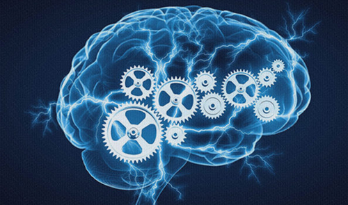 Acetyl L-carnitine 90 capsules на отлична цена от Athlete's Nutrition подобрява работата на мозъка и когнитивните функции