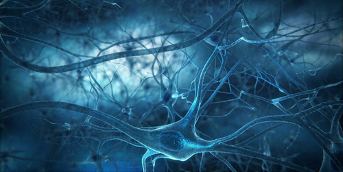 Acetyl L-carnitine 90 capsules на топ цена от Athlete's Nutrition повишава производството на важни невротрансмитери