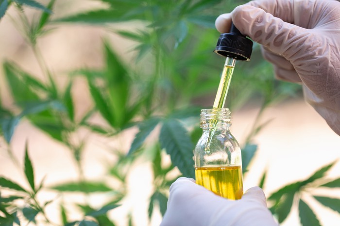 CBD масло (на капки) 300 мг от Pharma Hemp на супер цена намалява стреса и напрежението, не причинява зависимост и е абсолютно натурален и безопасен продукт.