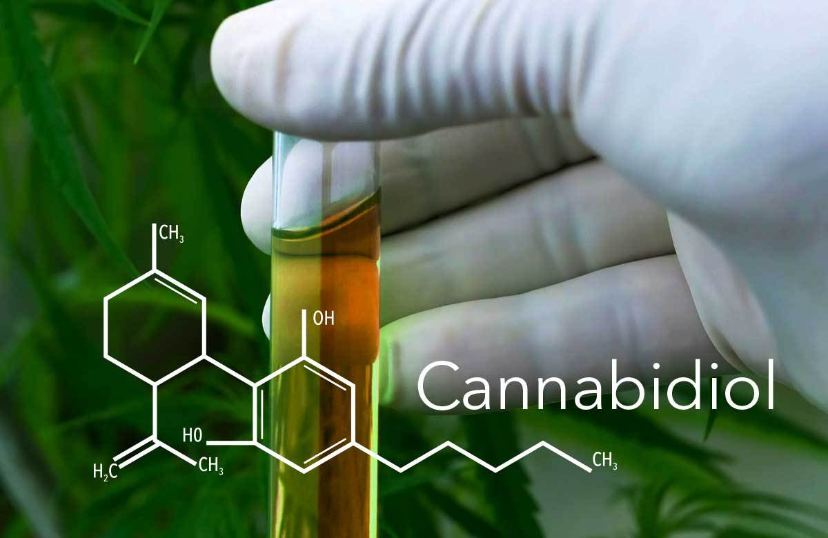 CBD масло 3% съдържа канабидиол, който няма опияняващо действие, а помага при различни здравословни проблеми и укрепва имунитета.