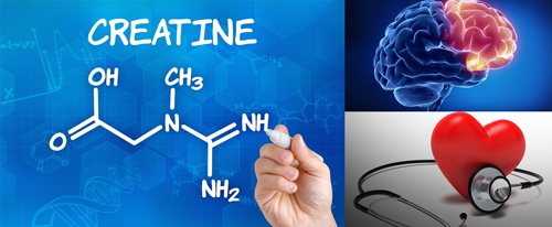 Креатин HCL 90 гр 90 таблетки на невероятна цена от Athlete's Nutrition подобрява здравето на сърцето и паметта