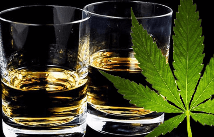 CBD Drops намалява последиците от алкохола върху черния дроб.