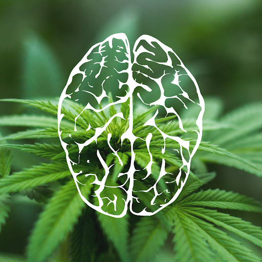 CBD Drops забавя прогреса на неврологичните болести, помага за възстановяване след инсулт и подобрява когнитивните функции при болести на Алцхаймер и Паркинсон.