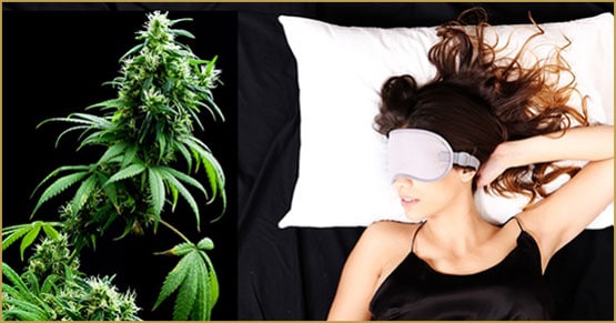 CBD Drops помагат при безсъние, подпомагат по-лесното заспиване.