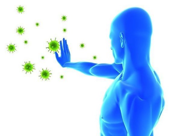 Декансерин капсули на супер цена усилва имунните функции и предпазва от всякакви инфекции.