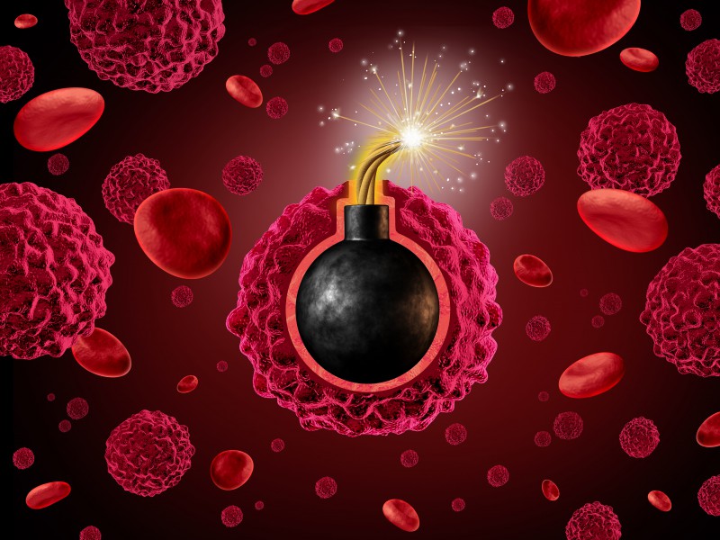 Гато 600 Котешки Нокът капки на супер цена унищожава раковите клетки и повишава имунната защита на организма.