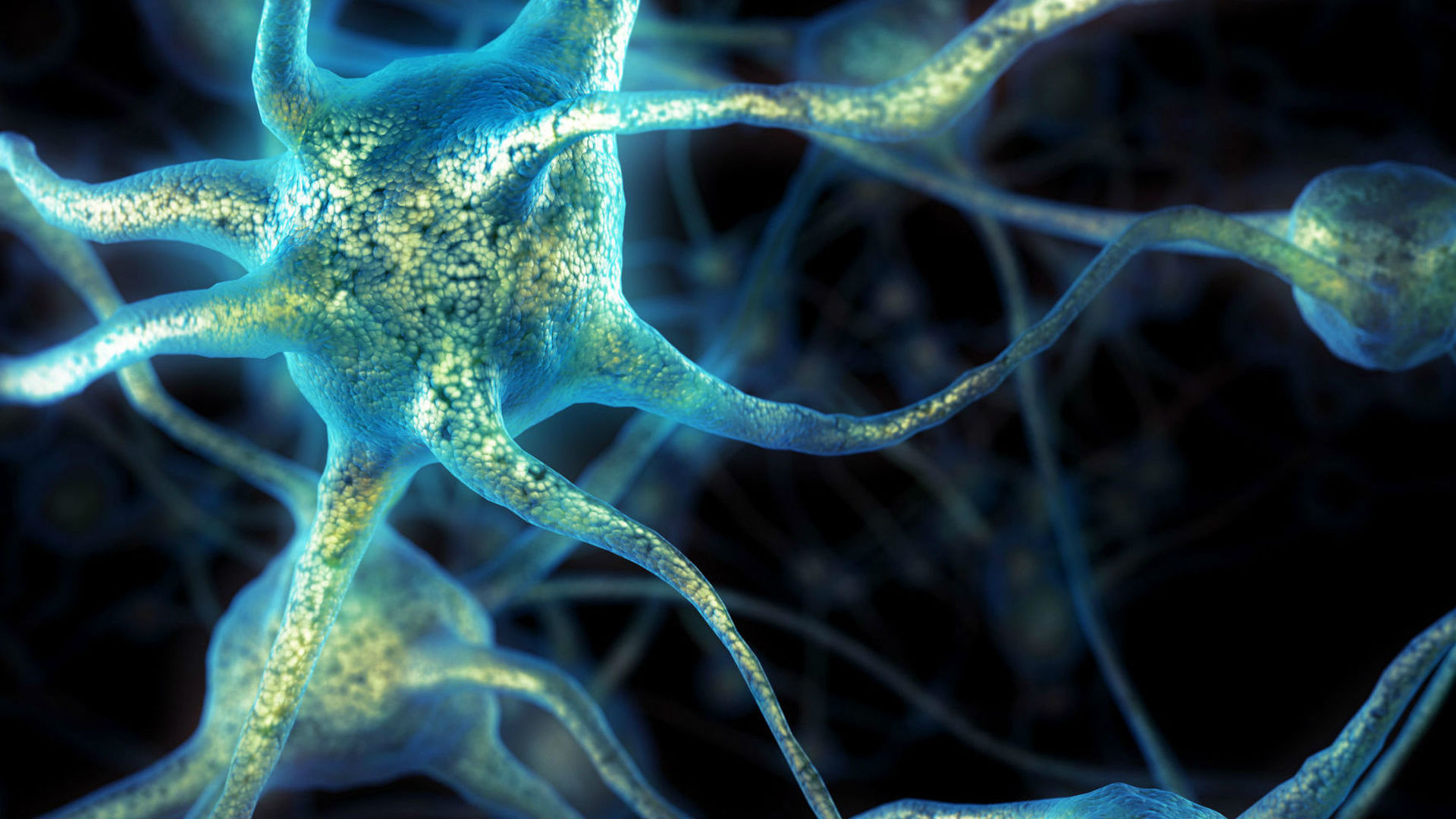 Mykind Organics B12 Спрей на Garden of Life подобрява състоянието на нервната система, предпазва от нервно-дегенеративни болести и неврологични патологии.