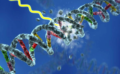 NAD+ Cell Regenerator Nicotinamide Riboside на добра цена активира различни гени, предпазващи клетките от увреждане на ДНК