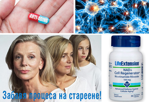 NAD+ Клетъчен регенератор никотинамид рибоза капсули на супер цена от Life Extension забавя процеса на стареене