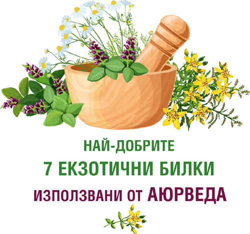 Full Spectrum Amalaki Complex 60 капсули на супер цена от Swanson в подкрепа на черния дроби и за подобряване на цялостното здраве