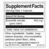 full-spectrum-boswellia-double-strength-pulen-spektur-bosveliq-dvoina-sila-kapsuli-swanson-sastav-cena