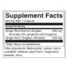 ginger-root-standardized-koren-ot-djindjifil-standartiziran-ekstrakt-kapsuli-swanson-sastav-cena