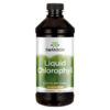 Liquid Chlorophyll 473 мл | Swanson
