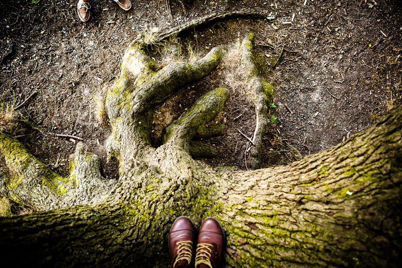 Органична Спирулина и Астаксантин на топ цена подпомага загубата на тегло.