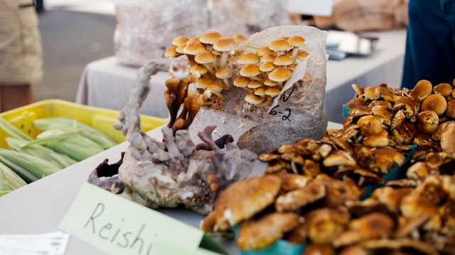 Reishi Mushroom 600 мг 60 капсули от Swanson на супер цена подсилва имунитета и има противораково действие. 