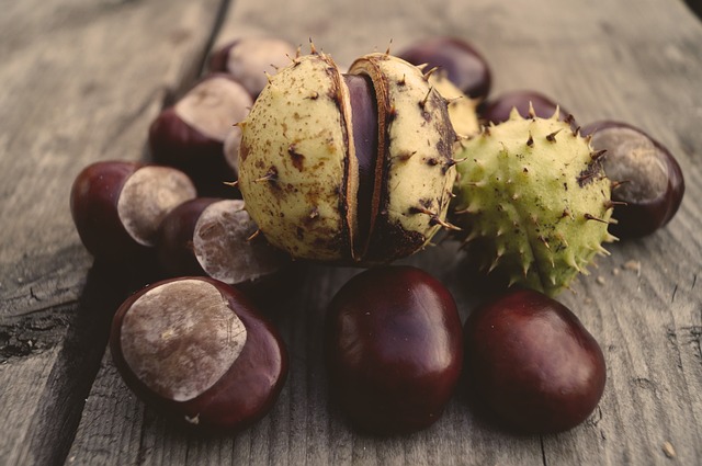 Timed-Release Horse Chestnut 22% Aescin 200 мг 120 таблетки от Swanson на топ цена е добавка с постепенно освобождаване, която е предназначена да подобрява кръвоснабдяването на крайниците