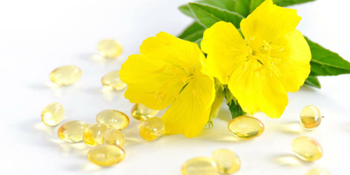 Evening Primrose Oil на топ цена е висококачествен естествен източник на гама-линоленова киселина.