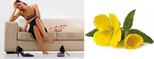 Масло от Вечерна Роза 200 капсули с топ цена от Sanct Berhard облекчава симптомите на ПМС