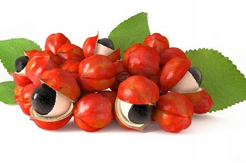 Guarana (Гуарана) 250 таблетки на супер цена е изключително богата на естествен кофеин.